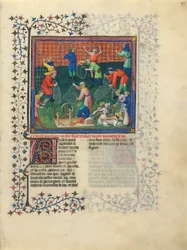 Buch der Jagd